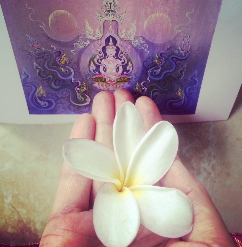 Carte de Buddha et frangipani