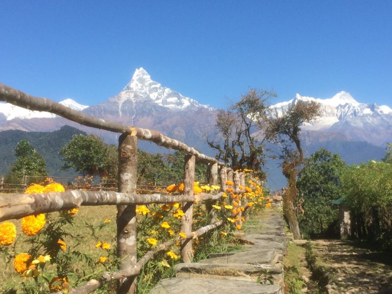 Machhapuchare - Fishtail -Annapurna, Népal