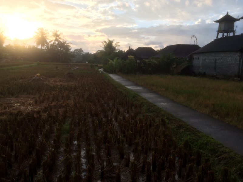 premiers rayons du soleil, Penestanan, Ubud, Bali