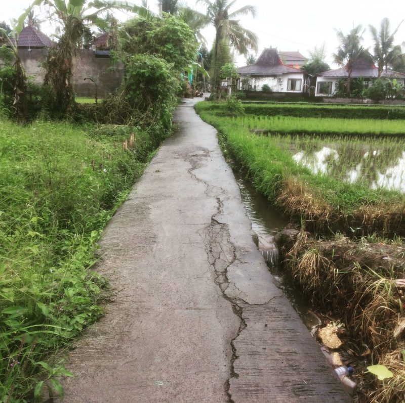Rue du village de Penestanan, Bali